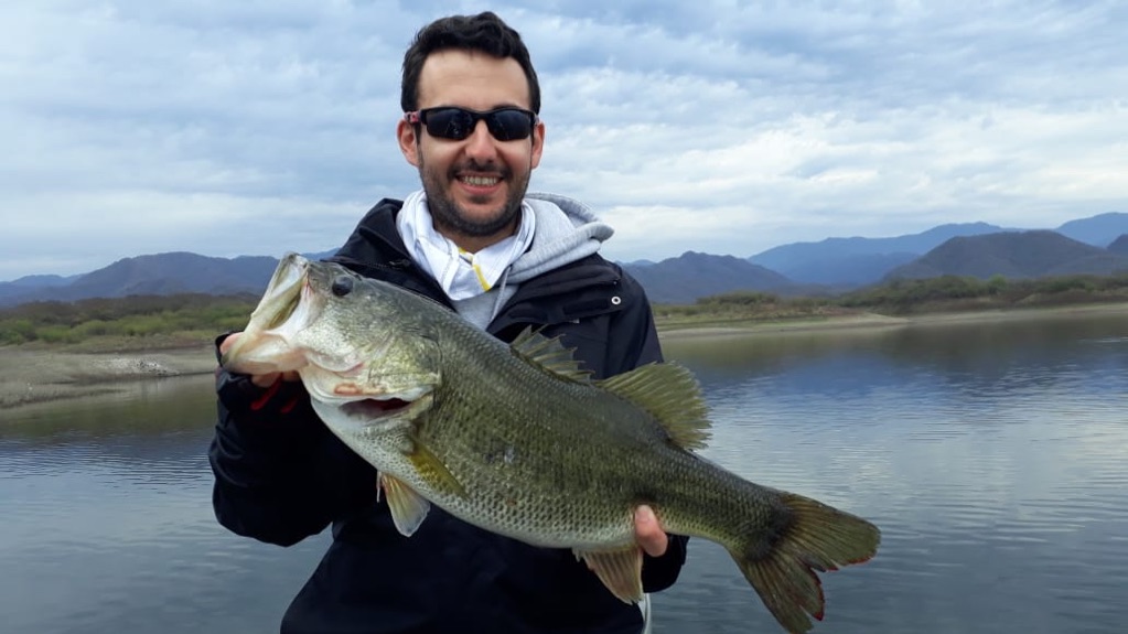 From User to an Investor in WeFish App