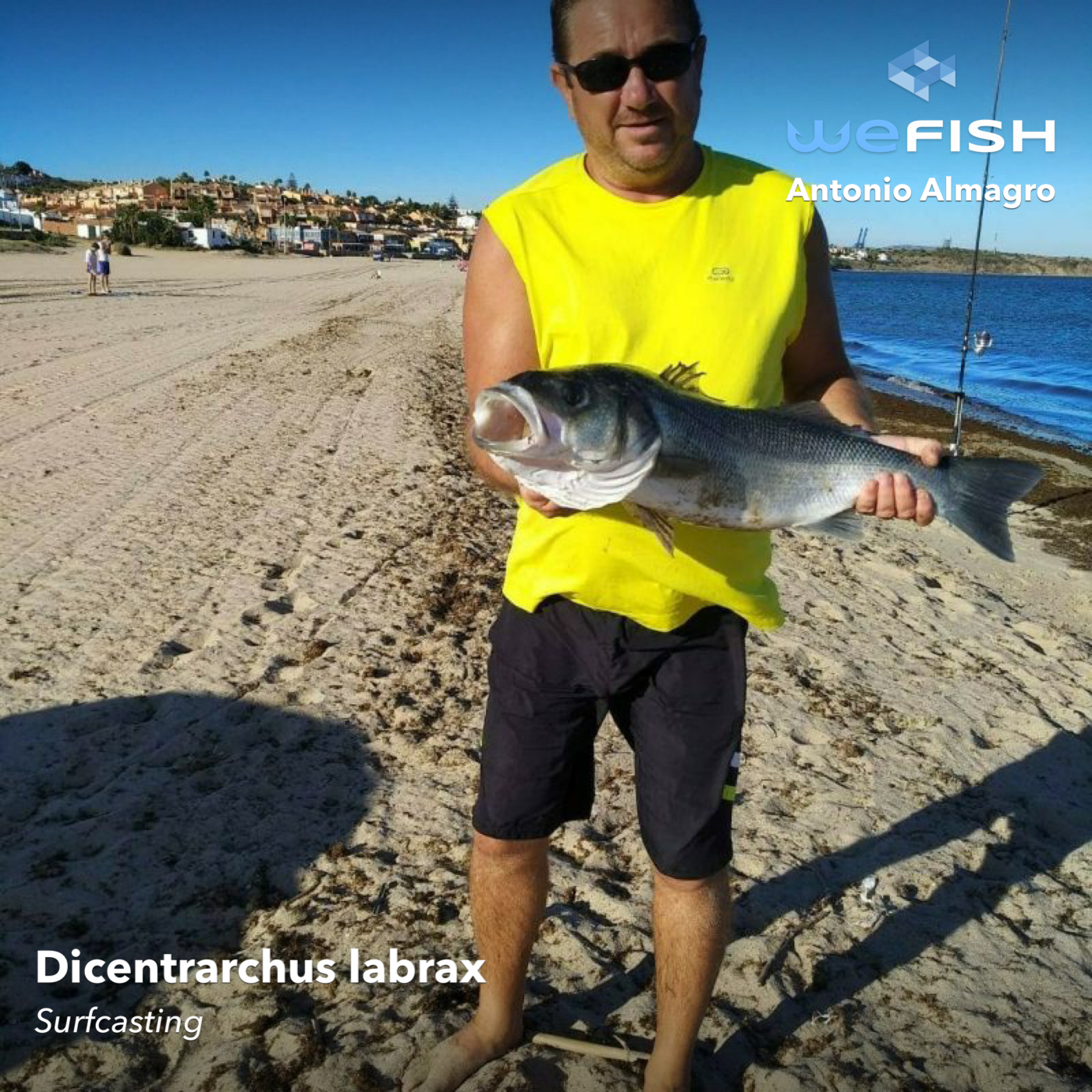 Pesca a Surfcasting