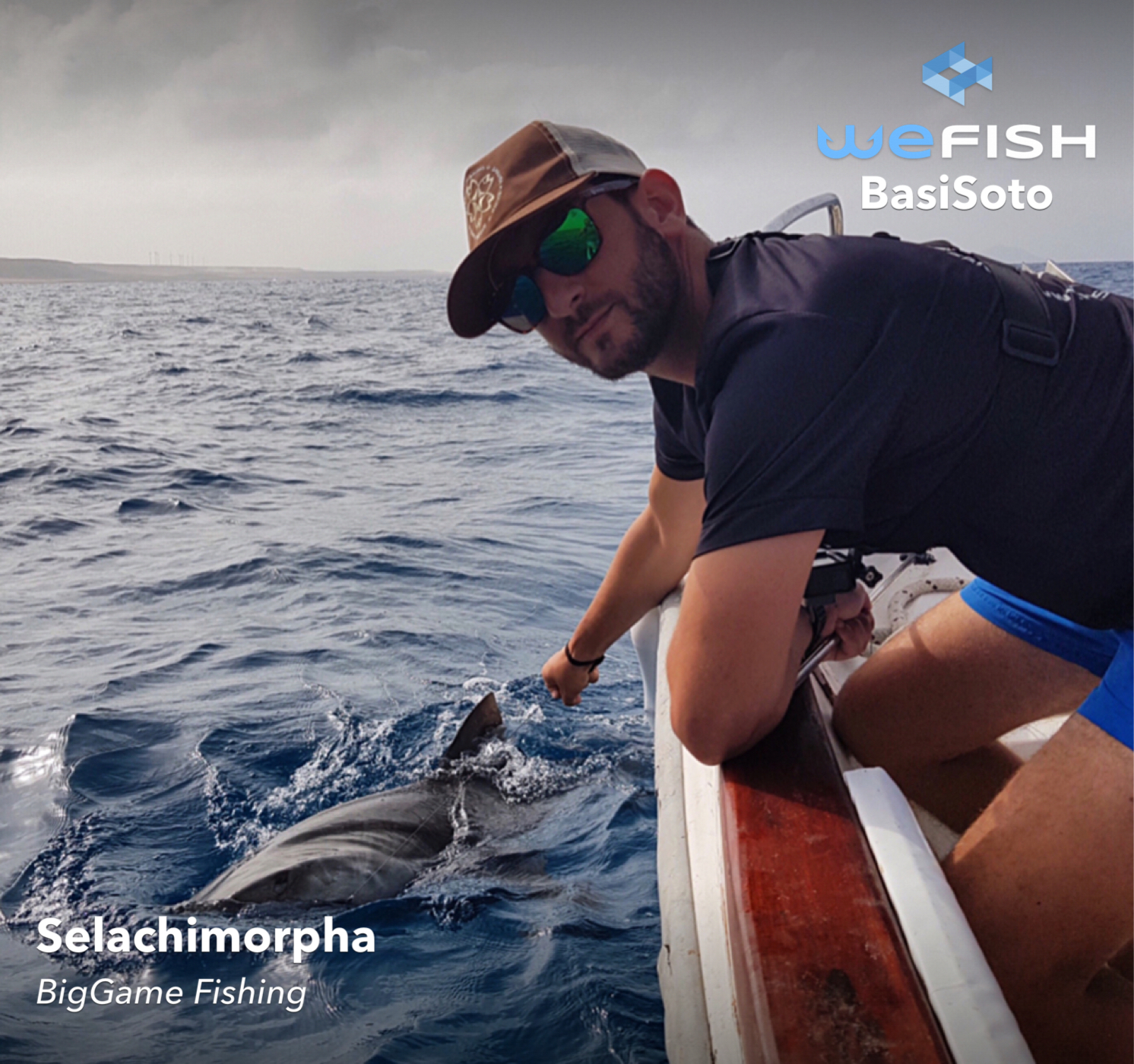 Tiburón capturado por pesca de altura