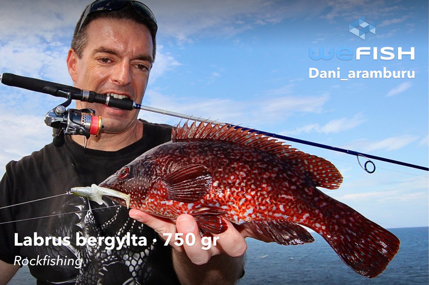 Reflections on Fishing | WeFish App