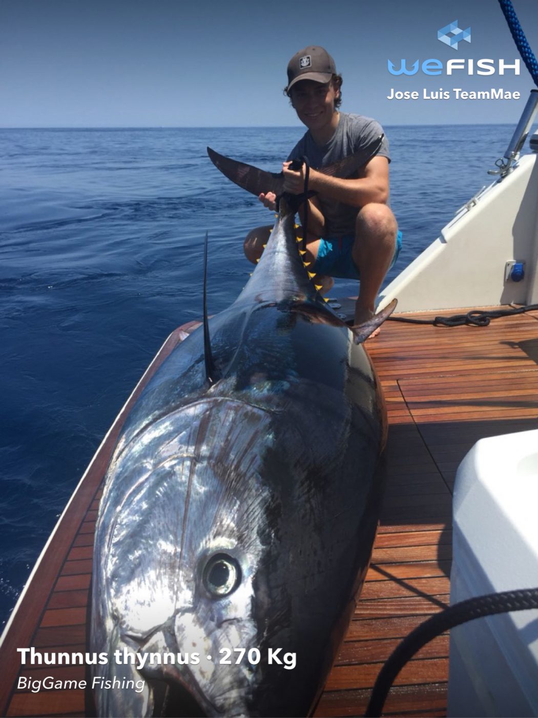 pesca del atún - wefish