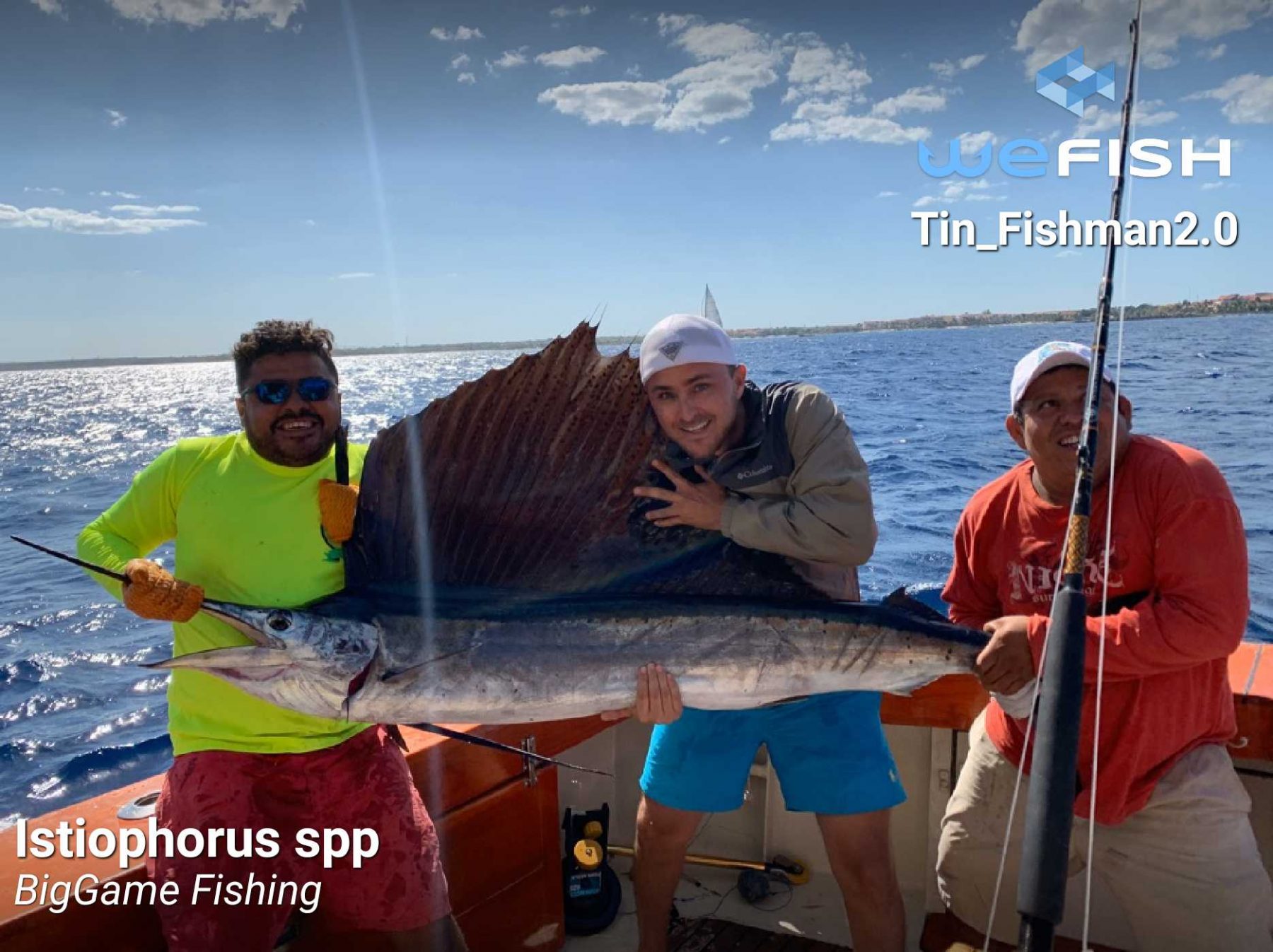 sailfish catch by deep sea fishing WeFish your Sportive Fishing App