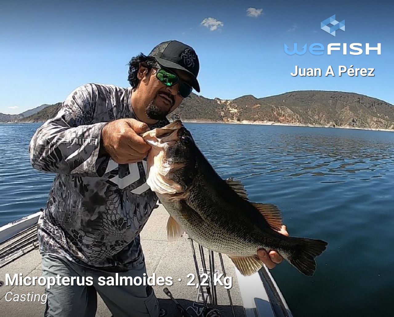 Trucos y consejos para pescar Black Bass.