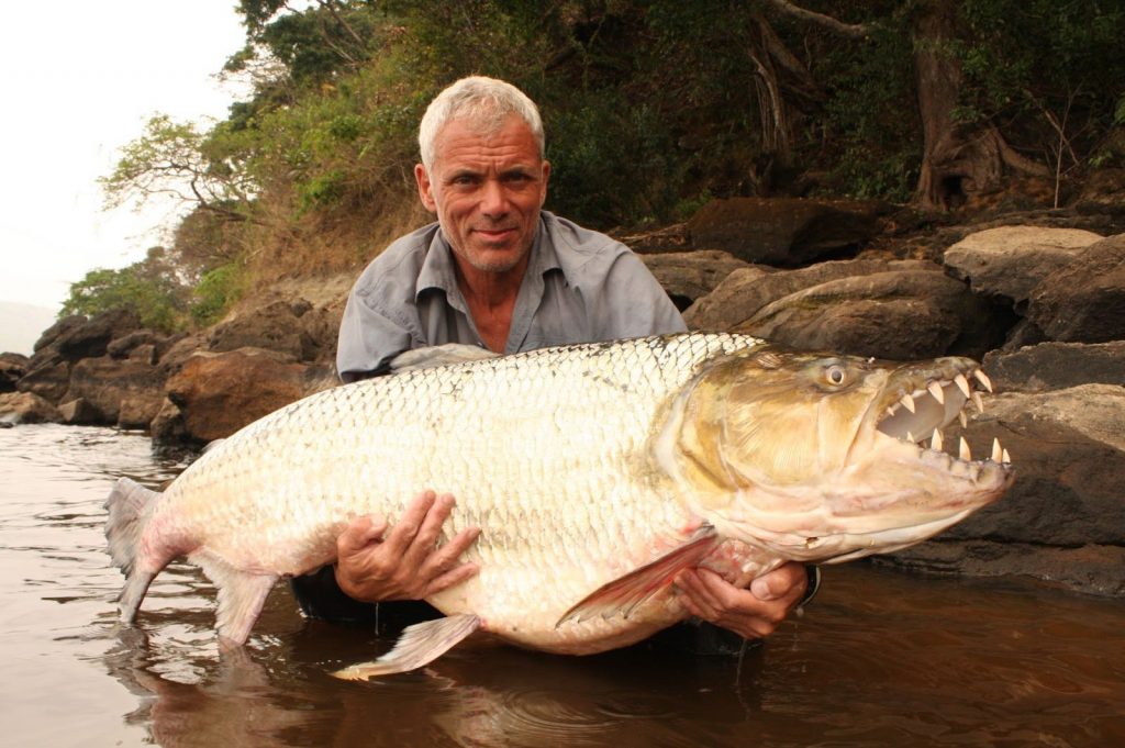 ▷ Top 10 of the World's Most Dangerous Fish