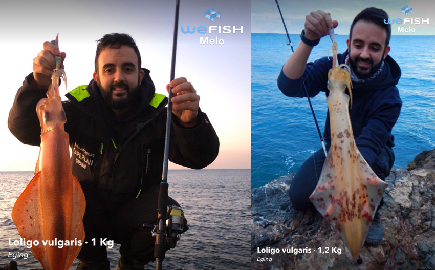 How to Catch Eging Fishing | WeFish App 