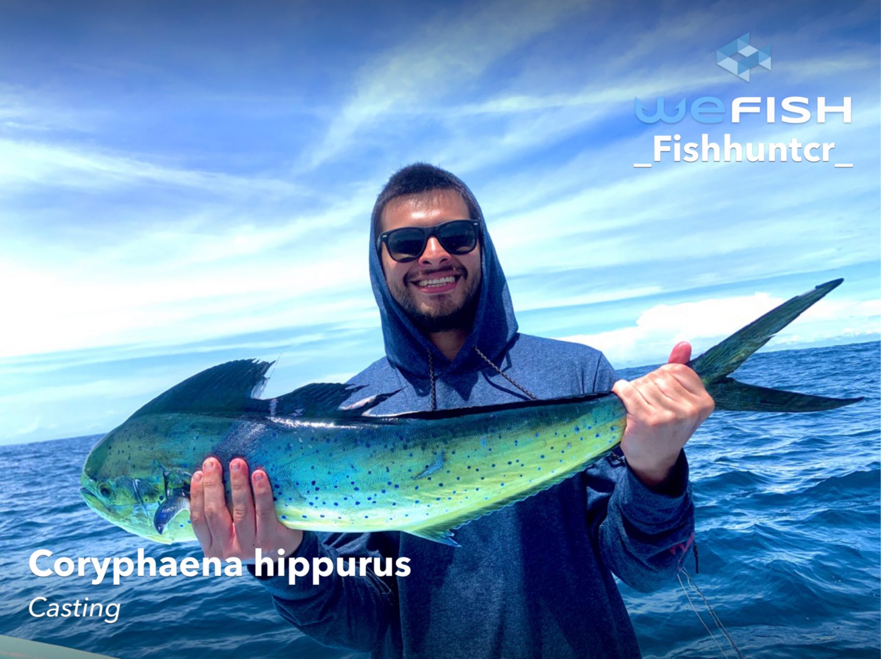 dolphinfish mahi mahi