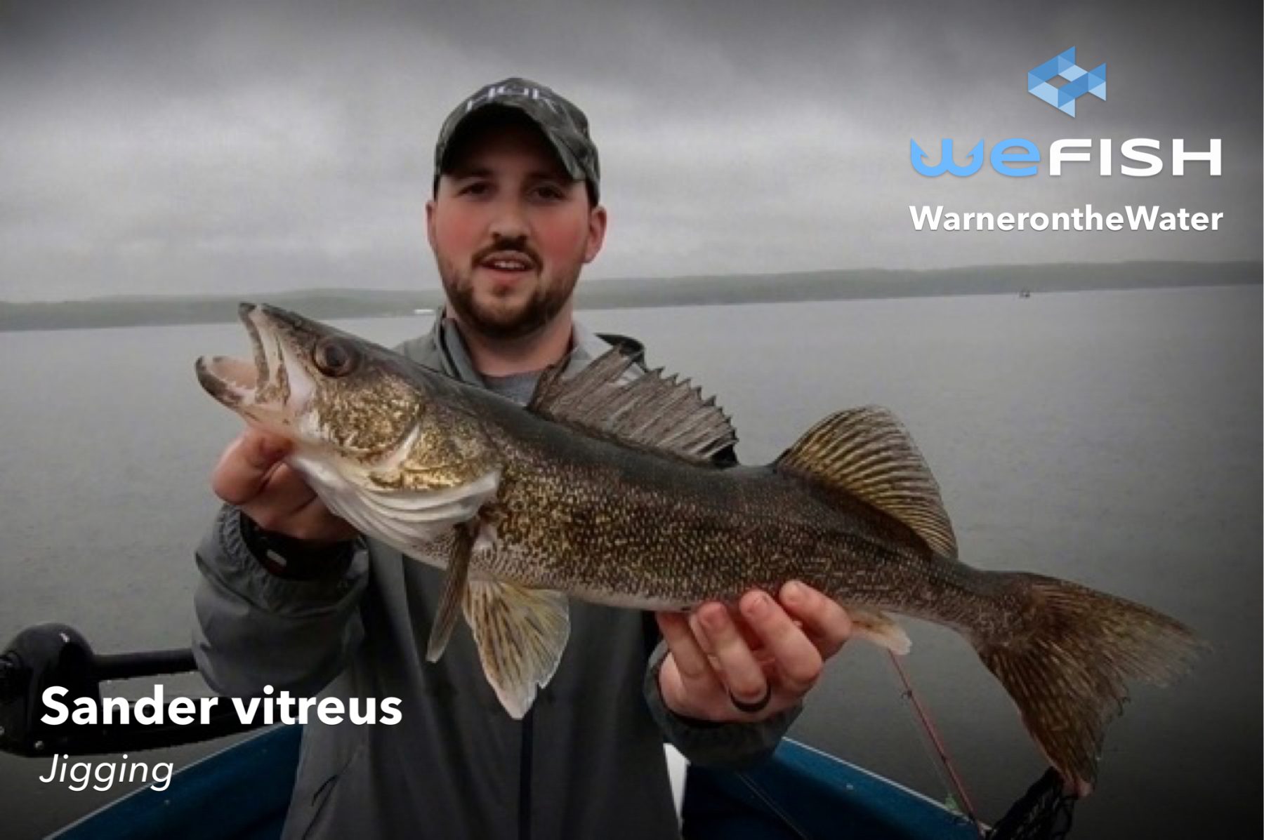 Walleye Fishing WeFish fishing app