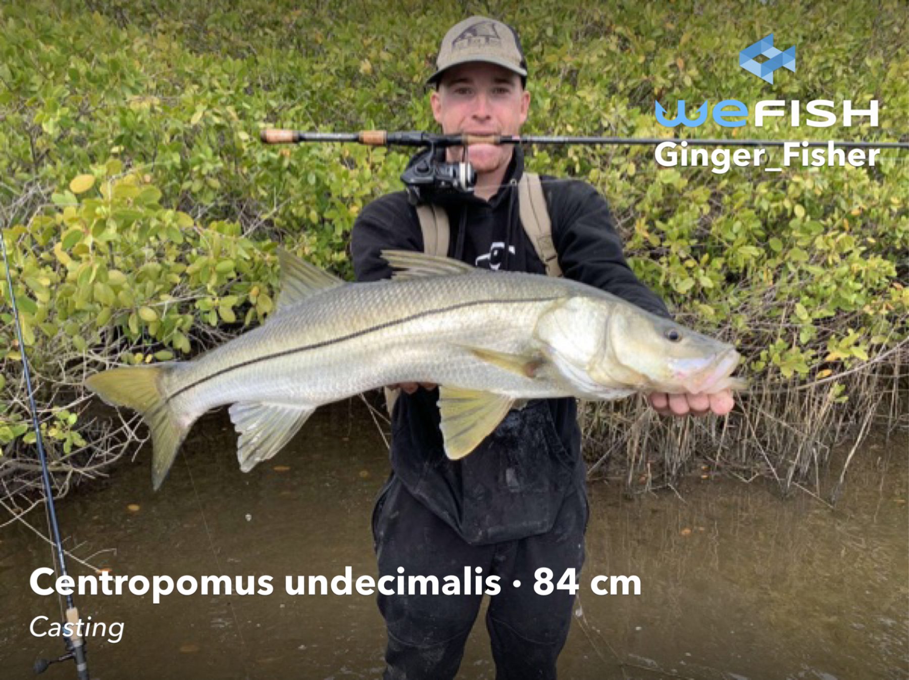 Snook catch
Best Fishing Spots in Florida
fishing app wefish