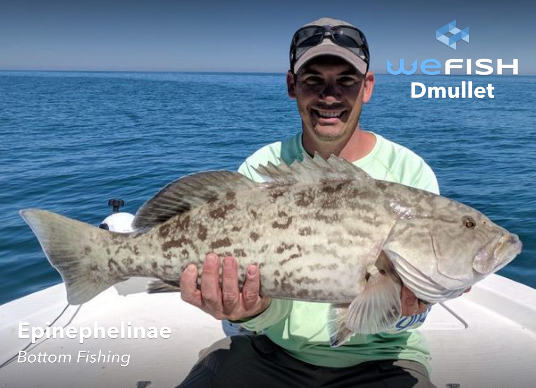 great catch grouper with goofish mighty deep 6ft glowing coating