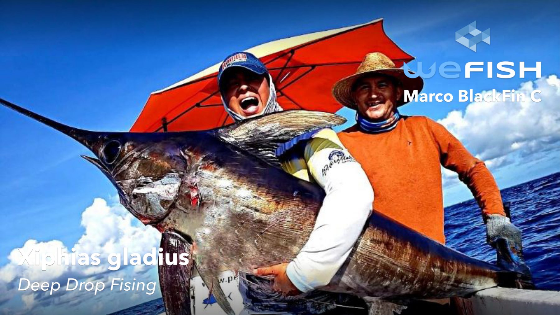 Fishing for swordfish
Best Fishing Spots in Florida
fishing app wefish