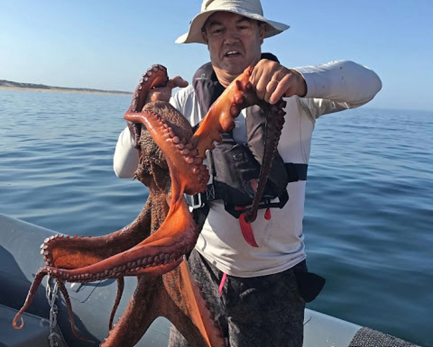 Magnificent Octopus: Went fishing