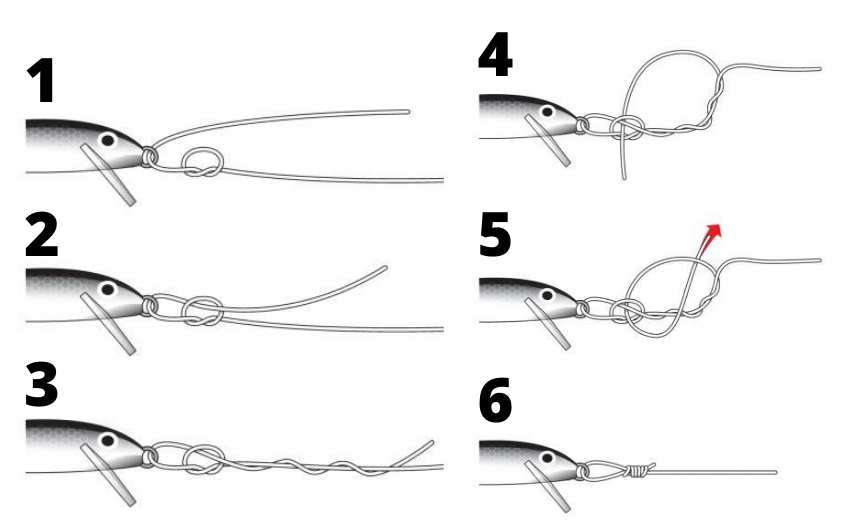 Rapala knot
 WeFish App
the best  knots for fishing