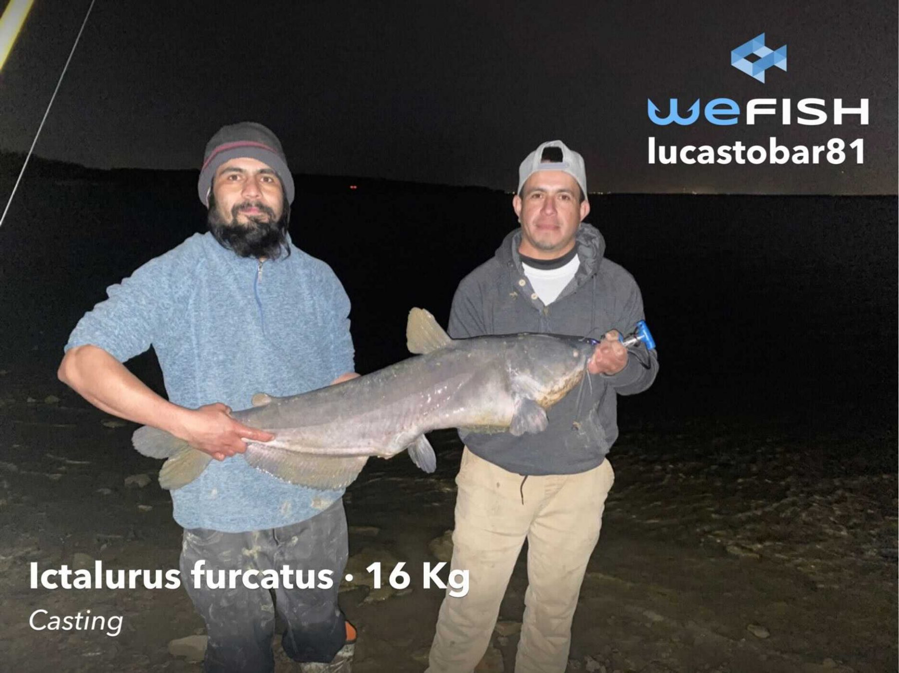 Florida fishing blue catfish