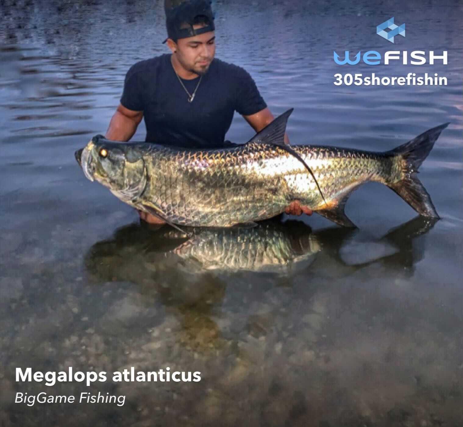 florida fishing tarpon