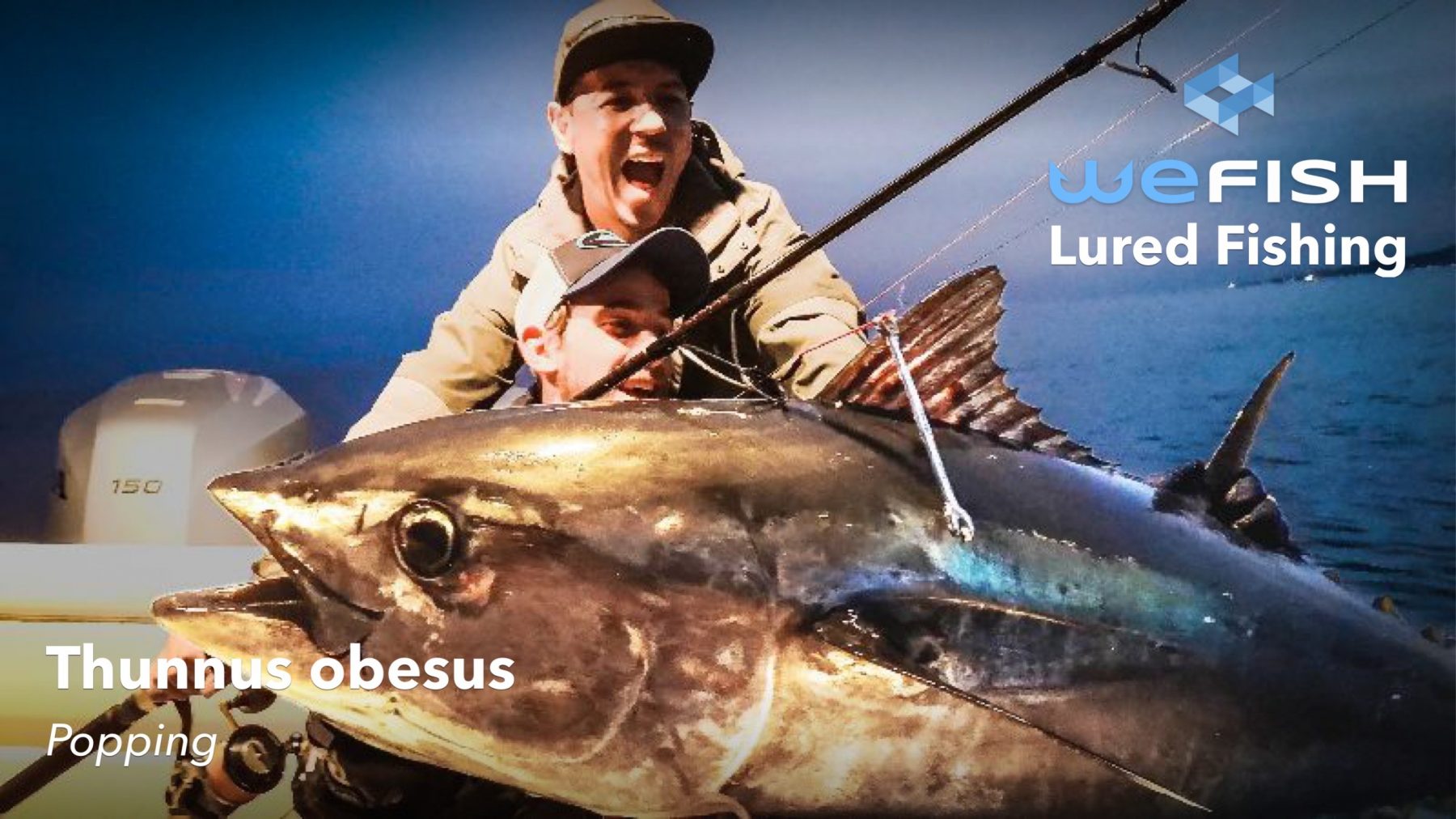 El Mundo de la Pesca en Cádiz: Pesca del Calamar