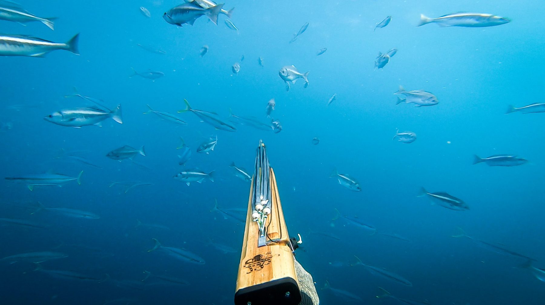 La prohibición de la pesca submarina en la Reserva de Llevant crispa al  sector