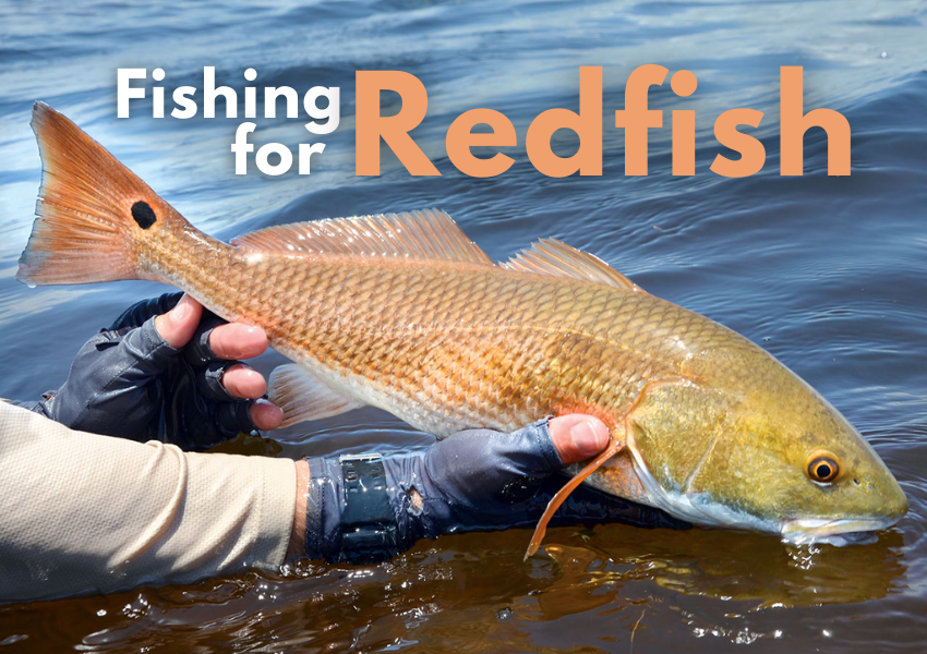 Fishing for Redfish
