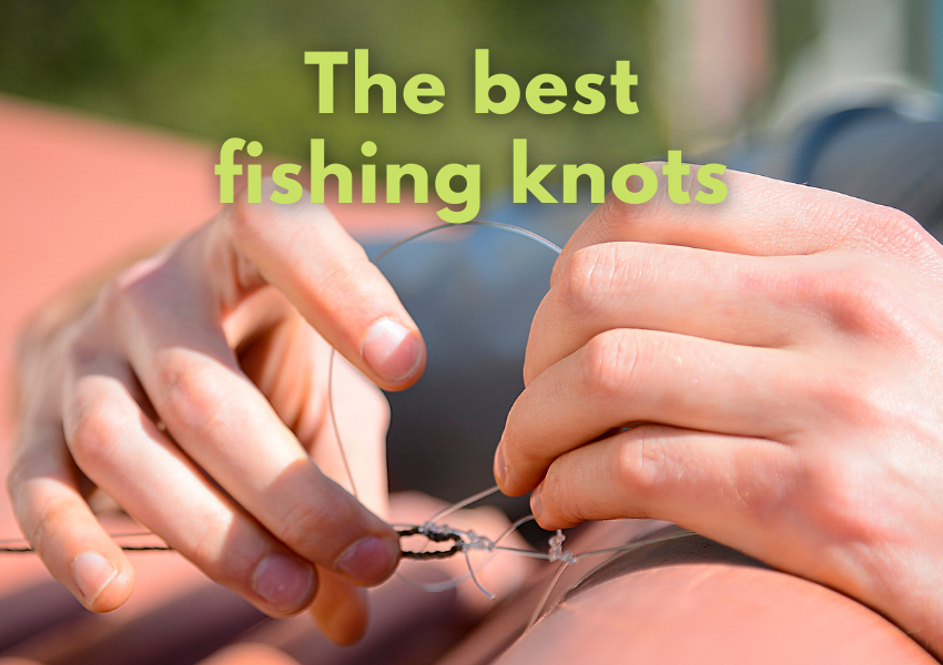 ▷ Best Fishing Knots, 9 Fishing Knots to Know