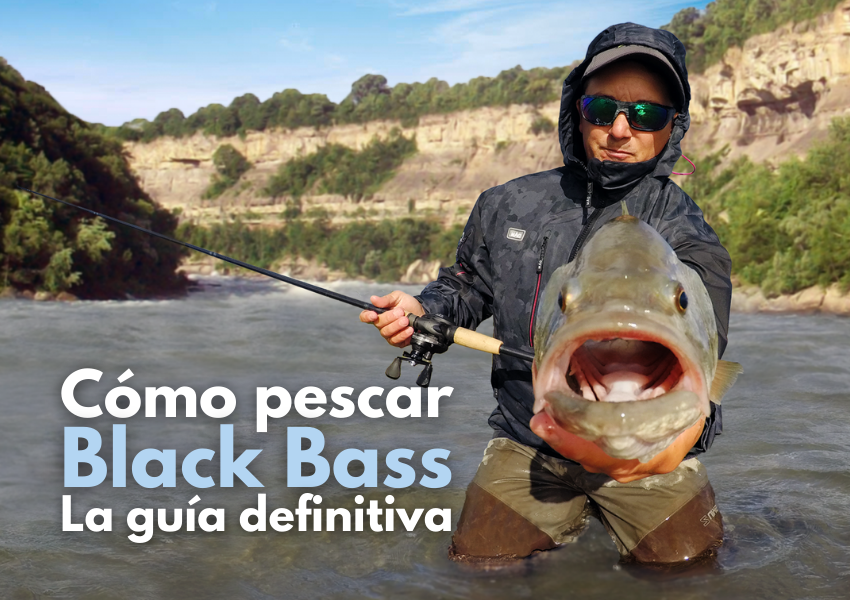 Cómo pesca Black Bass