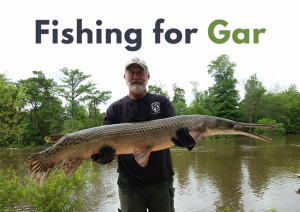 ▷ Gar Fishing, All You Need to Know, Wefish - Fishing App