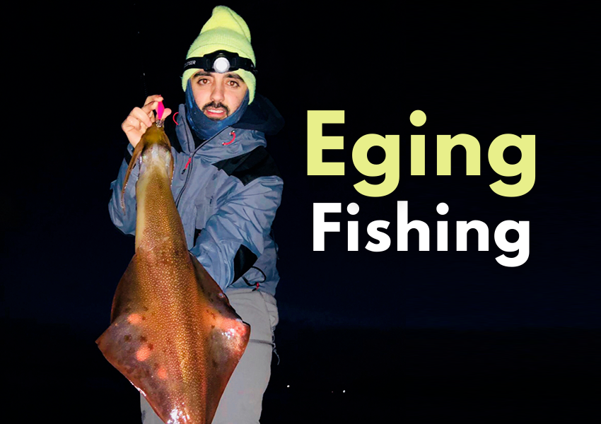 eging fishing