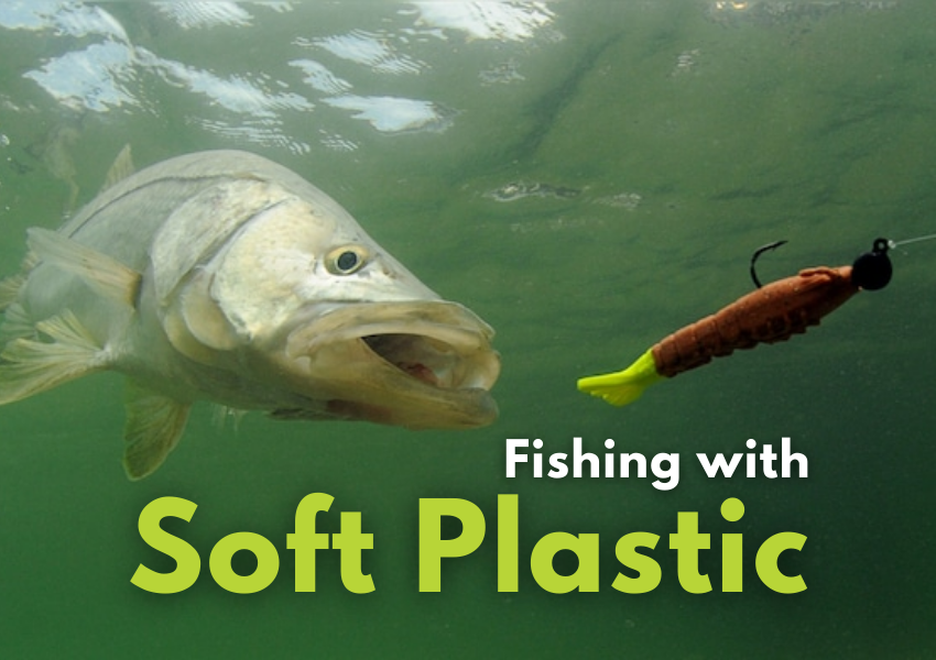 fishing with soft plastic