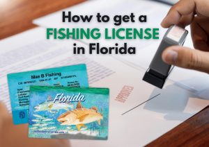 How to get a fishing license in Florida