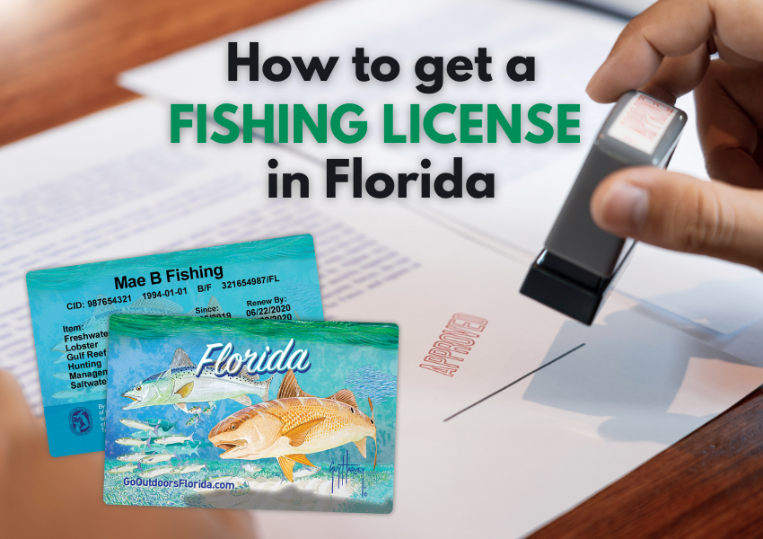 How to get a fishing license in Florida