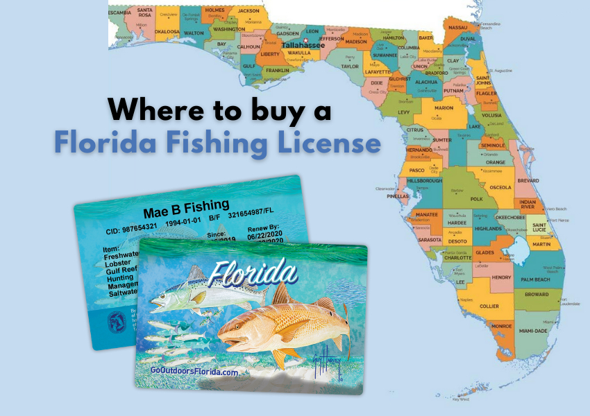 fishing license in florida