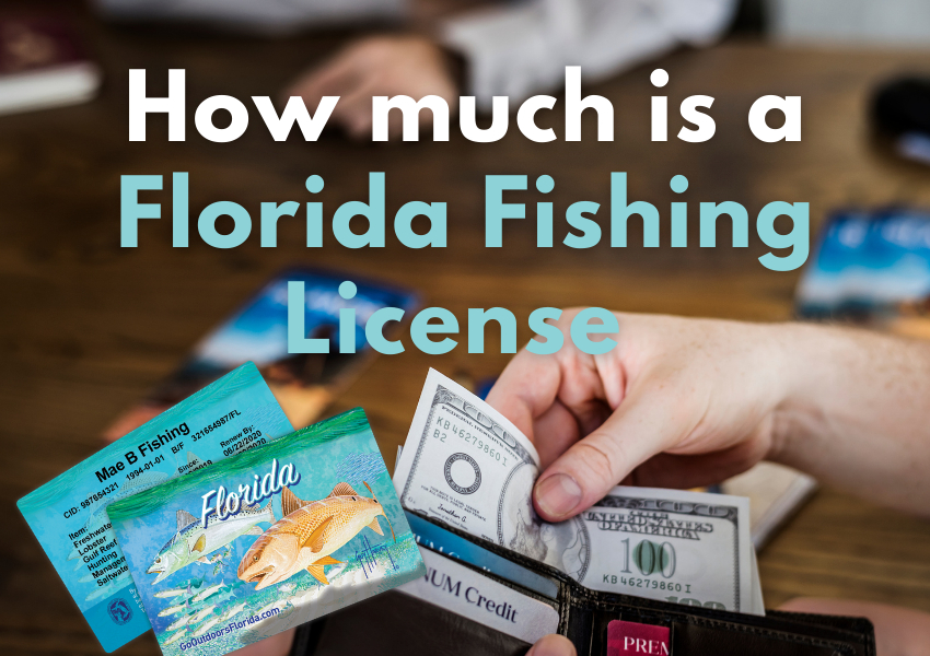 florida_fishing_license_cost