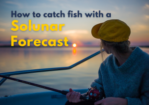 solunar fishing forecast