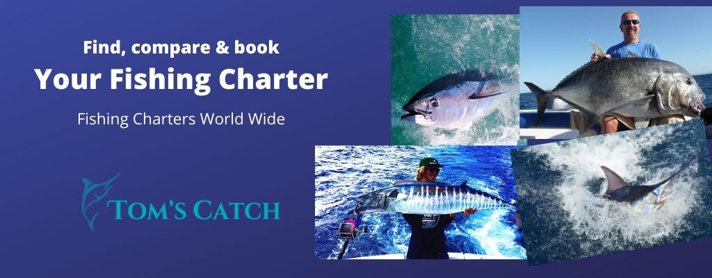 Tuna Fishing, How to Catch a Tuna?