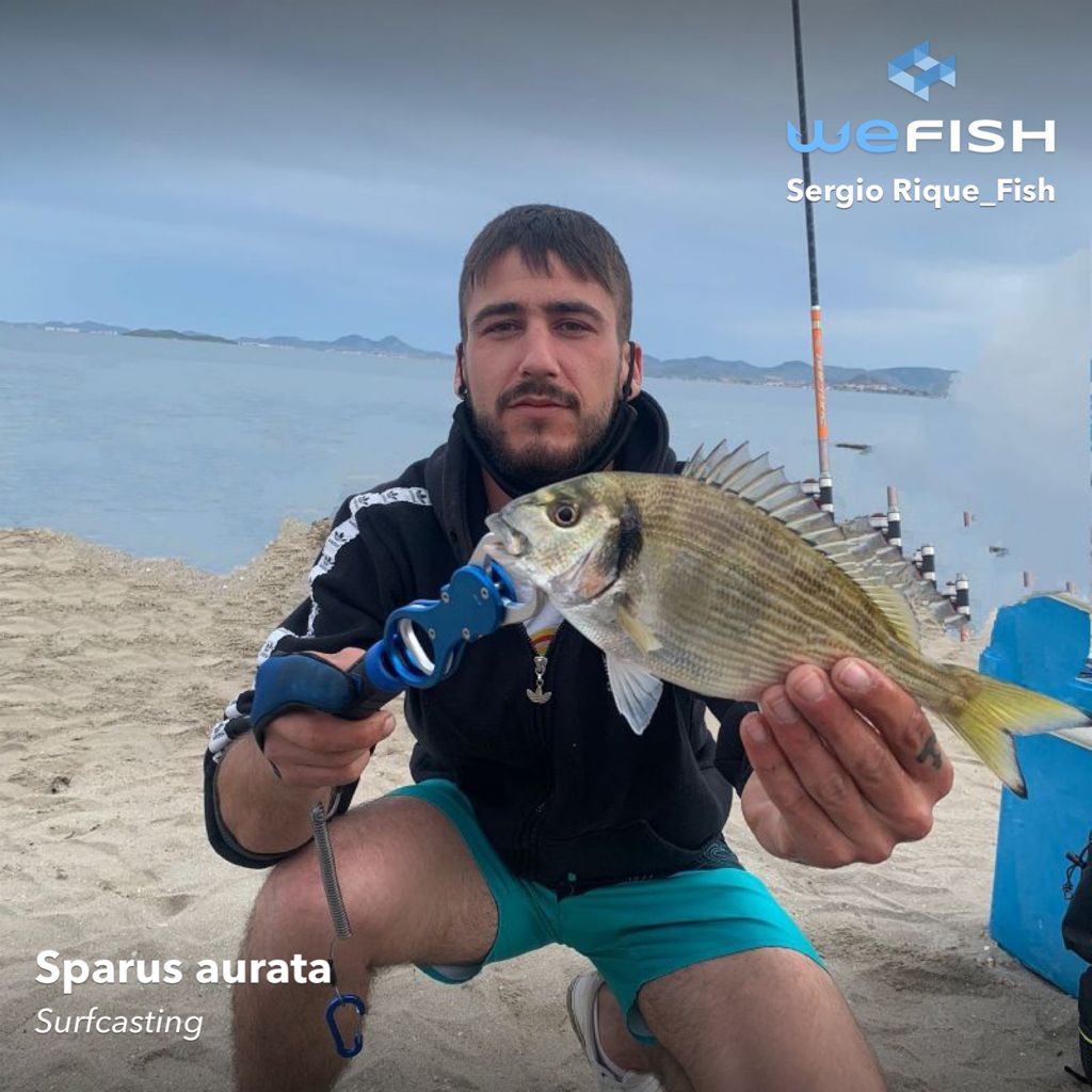 Pescar en Murcia