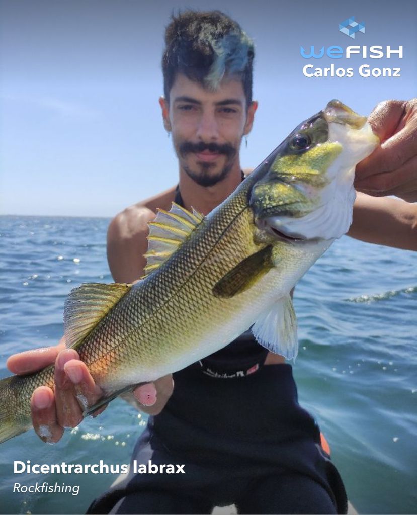 Pescar en Murcia