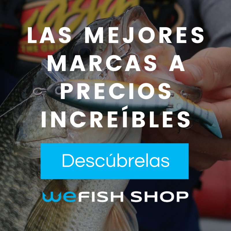 Wefish Tu App De Pesca Descarga Gratis Para Ios Y Android