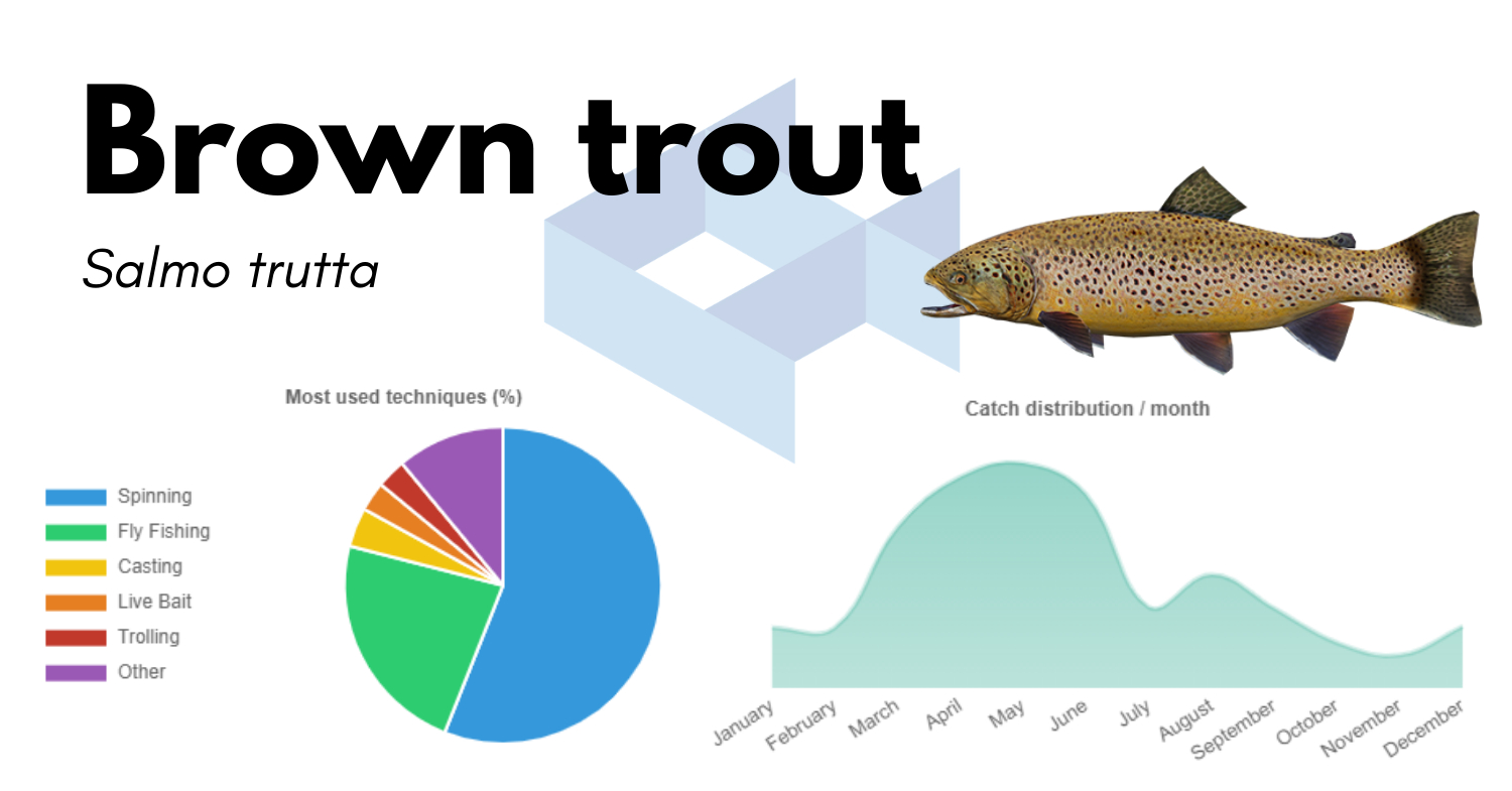 how to catch brown trout