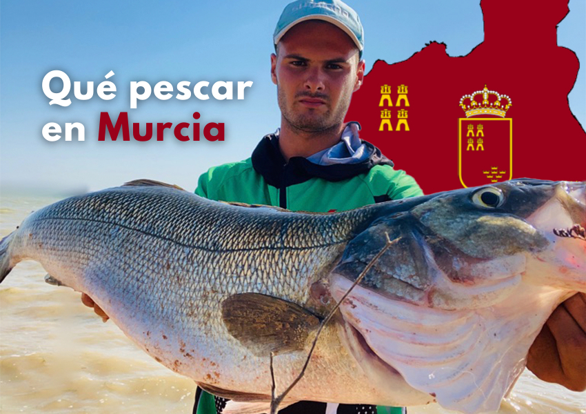Qué especies pescar en Murcia