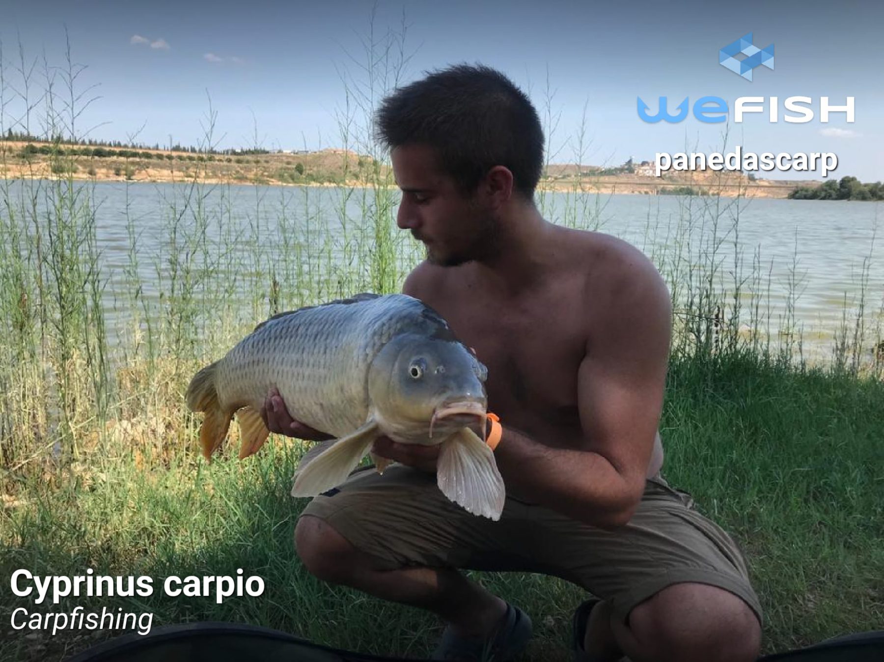 pesca en la comunidad valenciana