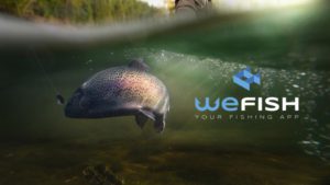 Sonar Tips: How to Use Fish ID to Catch More Fish • Sonar Wars